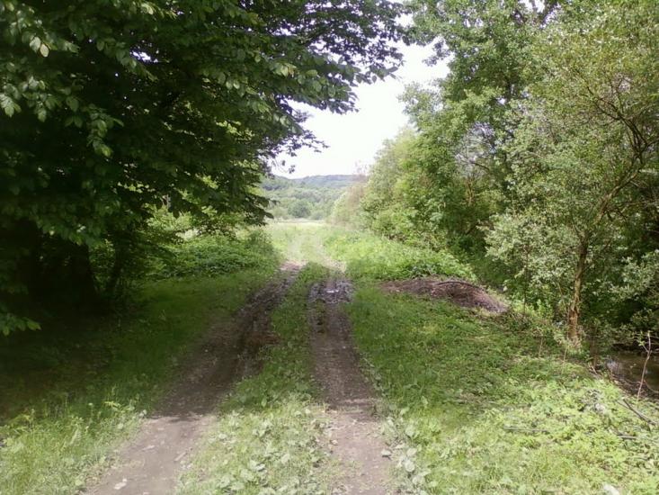 Великі Глібовичі з panoramio.com - Великі Глібовичі