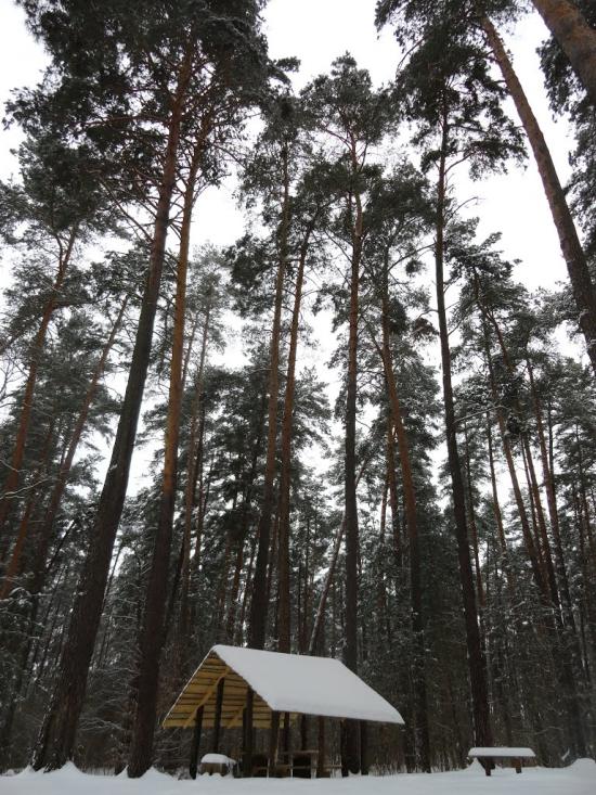 Бодячів з panoramio.com - Бодячів