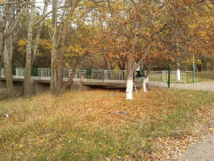 Некрасовка з panoramio.com - Некрасовка