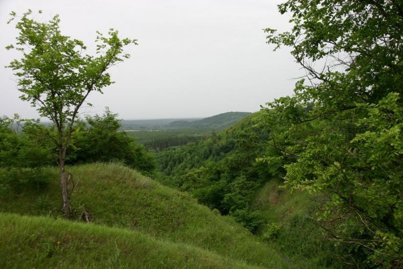 Межиріч з panoramio.com - Межирич