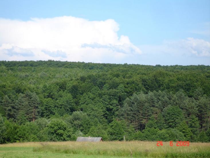 Тереблече з panoramio.com - Треблечье