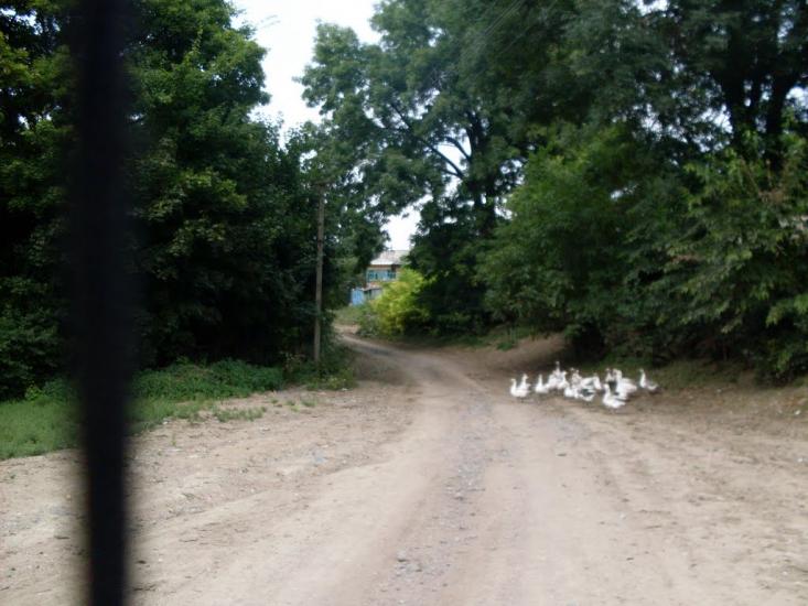 Карбівське з panoramio.com - Карбівське