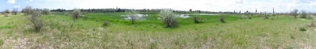 Солонці з panoramio.com - Solontsi