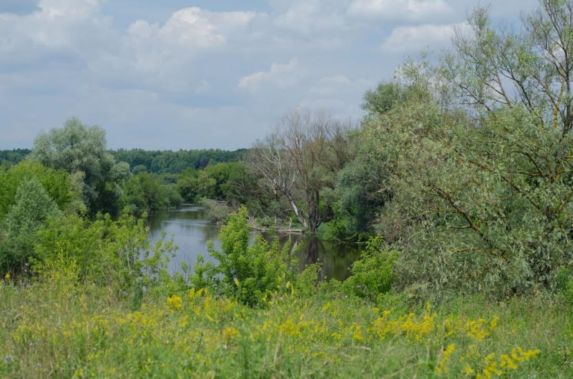 Пархоменкове з panoramio.com - Пархоменково