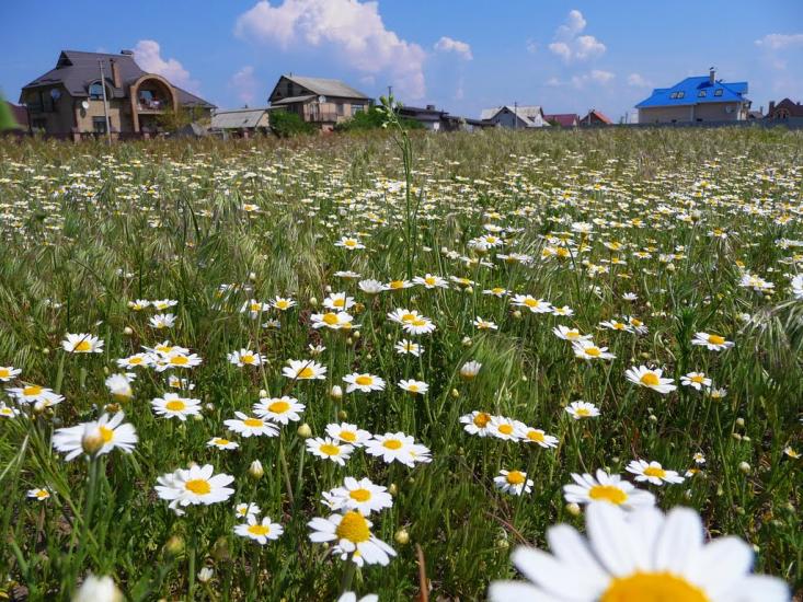 Лютіж з panoramio.com - Лютеж