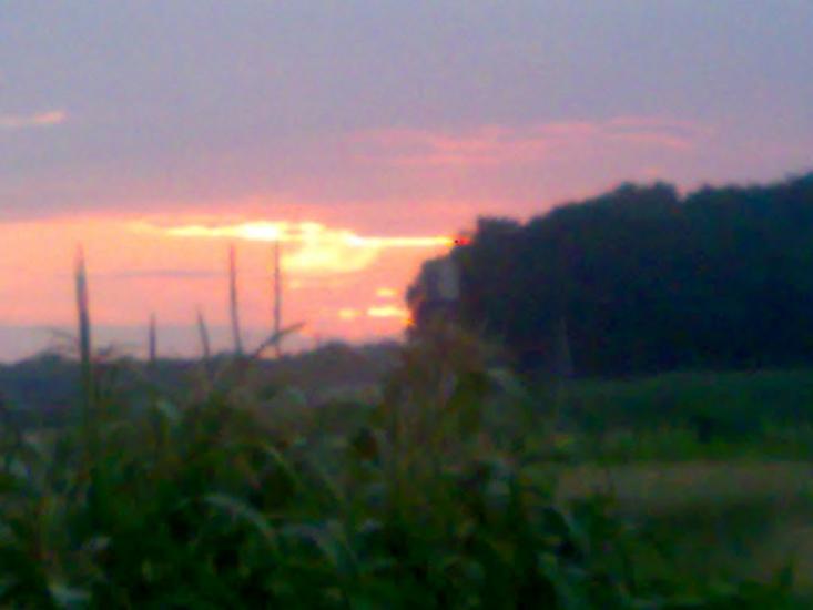 Галяве з panoramio.com - Галяво