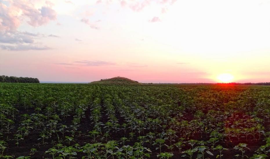 Новозванівка з panoramio.com - Novozvanivka