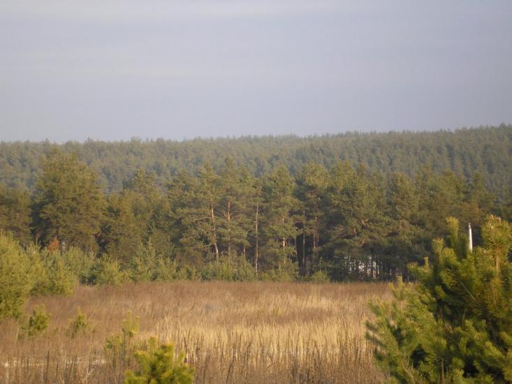Малютянка з panoramio.com - Малютянка