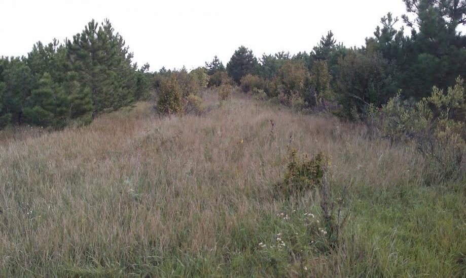 Крутоярівка з panoramio.com - Крутоярівка