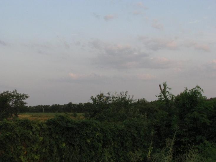 Русакове з panoramio.com - Русакове