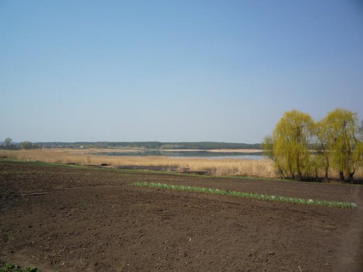Піски-Радьківські з panoramio.com - Пески-Радьковские