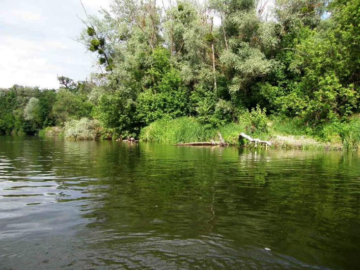Пасіка з panoramio.com - Пасека
