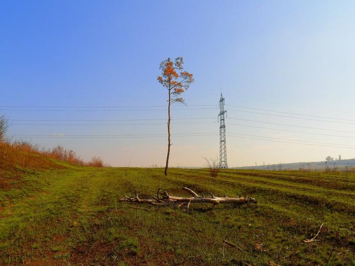 Нижня Кринка з panoramio.com - Нижня Кринка