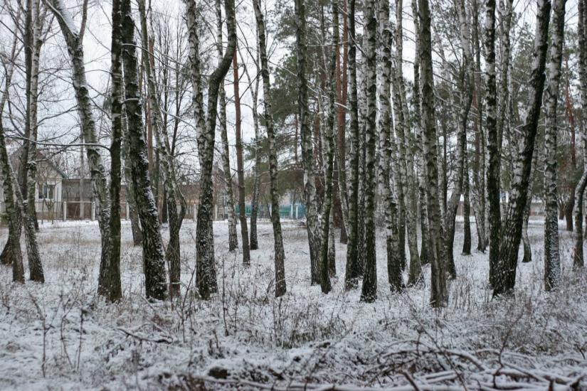 Корніївка з panoramio.com - Корніївка