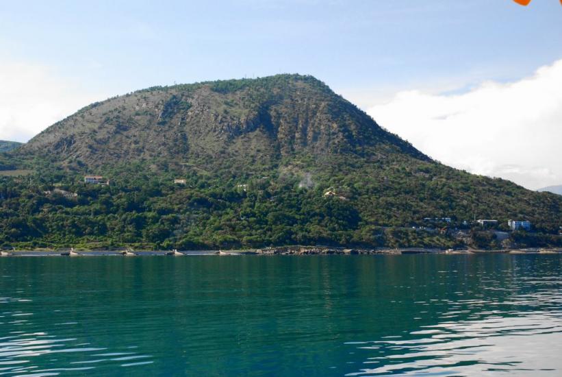 Чайка з panoramio.com - Чайка