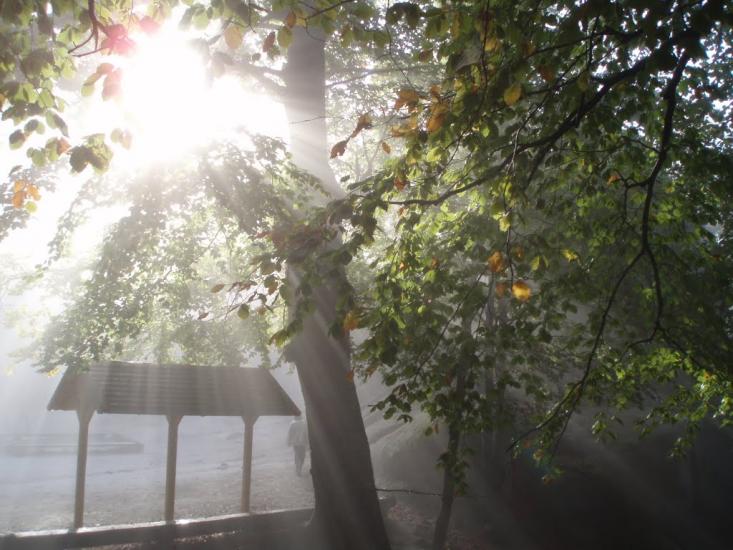 Поляниця з panoramio.com - Поляница