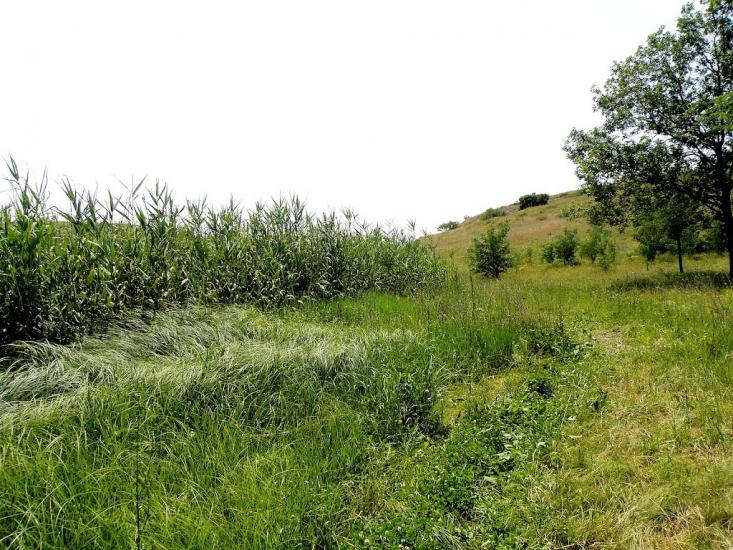 Княгинівка з panoramio.com - Княгинівка