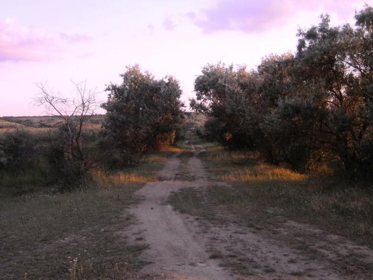 Гур'ївка з panoramio.com - Гурьевка