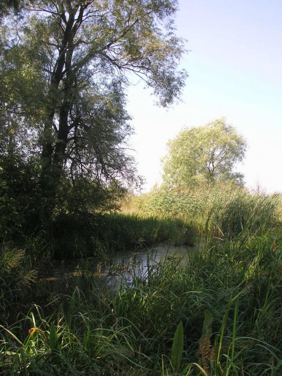Пульмо з panoramio.com - Пульмо