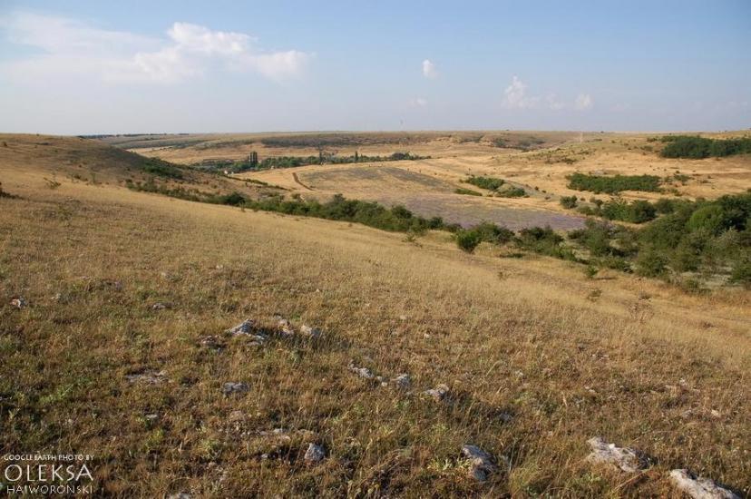 Рєпіне з panoramio.com - Рєпіне