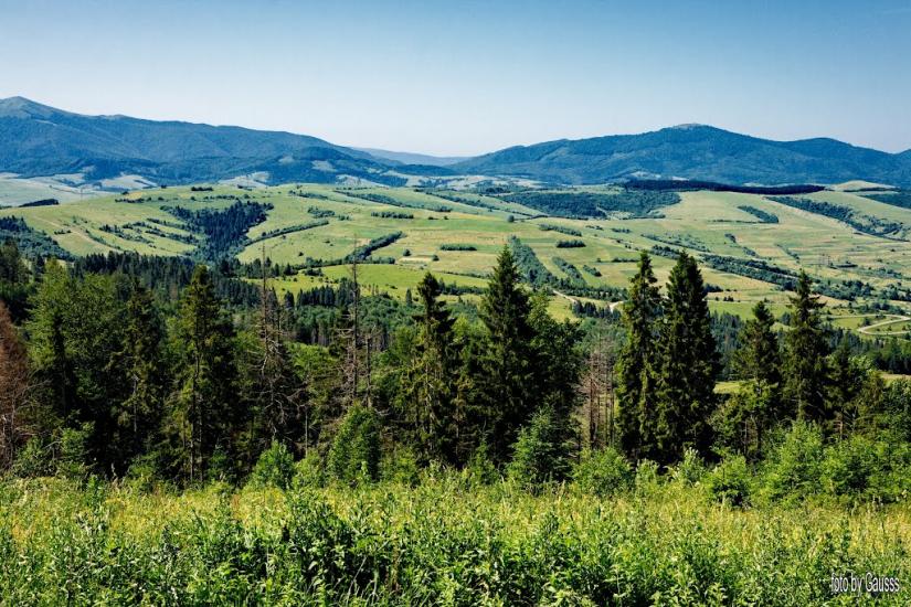 Верб'яж з panoramio.com - Вербяж