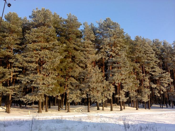 Короп з panoramio.com - Короп