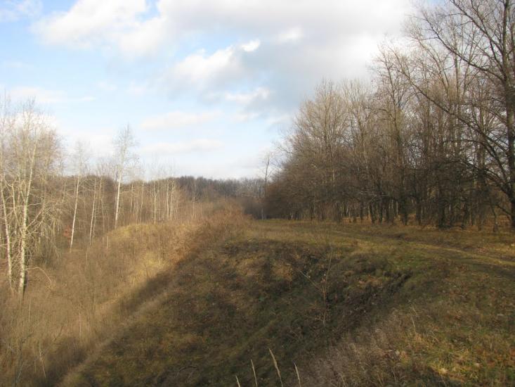 Печеніги з panoramio.com - Печениги