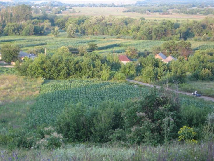 Хворостянівка з panoramio.com - Хворостянівка