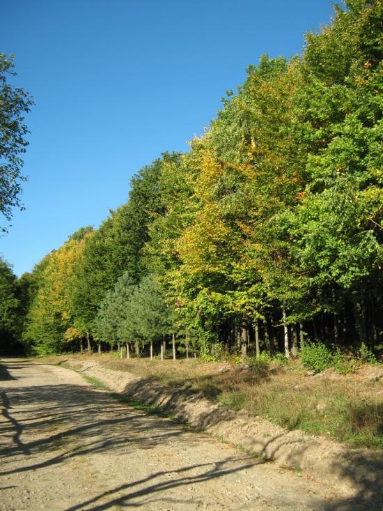 Дебеславці з panoramio.com - Дебеславцы