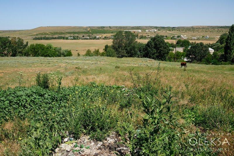 Айвове з panoramio.com - Айвовое