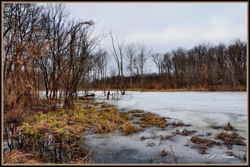 Рубіжне з panoramio.com - Рубежное