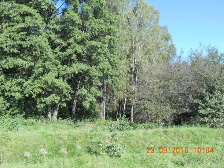 Головлі з panoramio.com - Головли