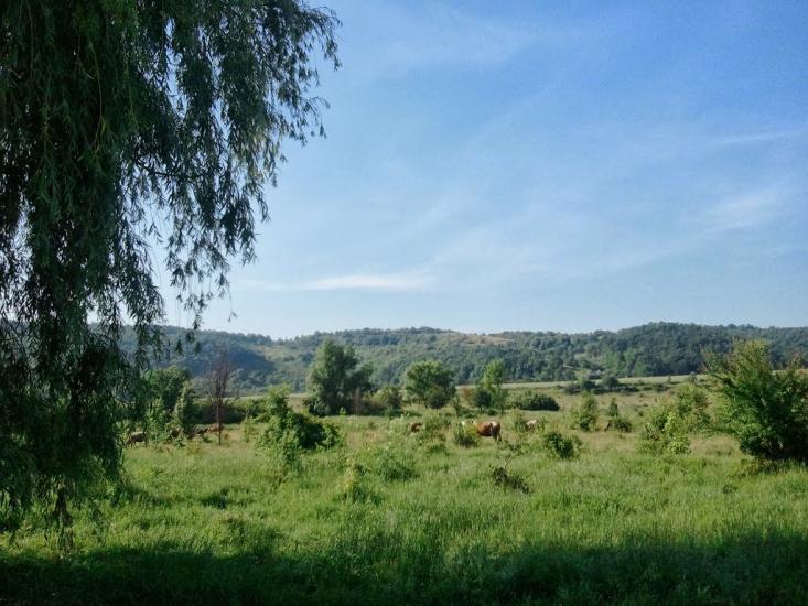 Новоукраїнка з panoramio.com - Новоукраїнка