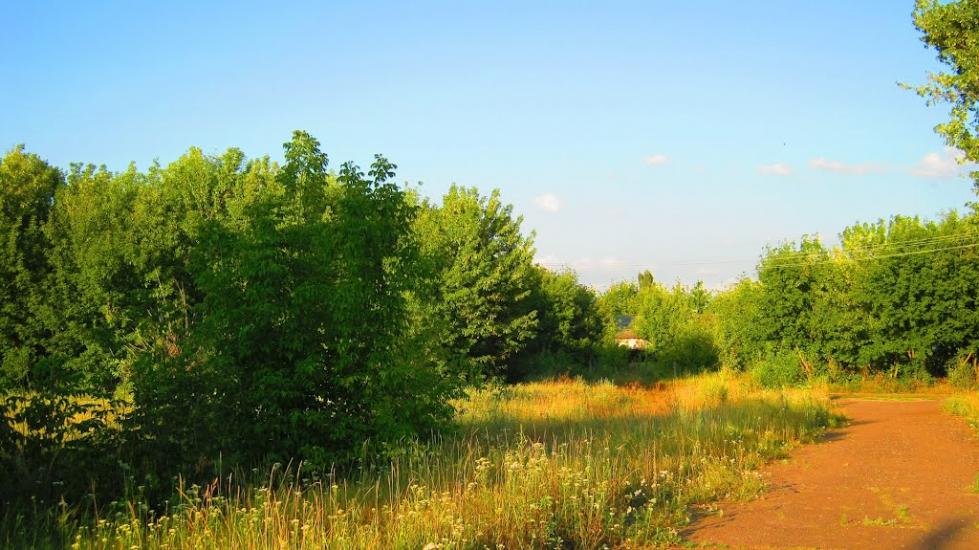 Богданівка з panoramio.com - Богдановка