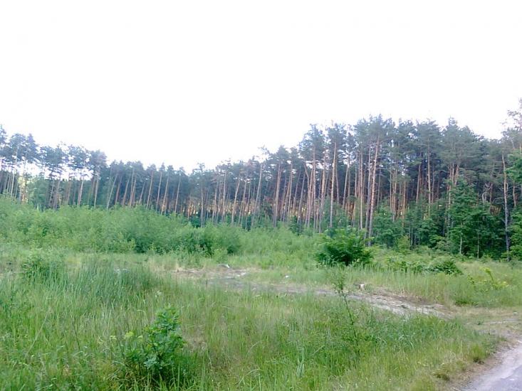 Житомир з panoramio.com - Житомир