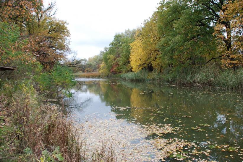 Самусіївка з panoramio.com - Samusiyivka