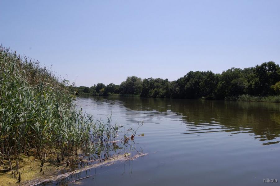 Сиротине з panoramio.com - Сиротине