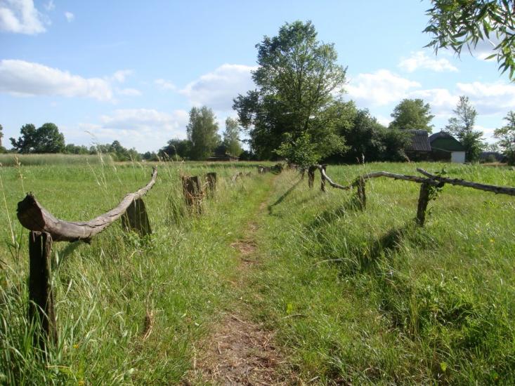 Мелені з panoramio.com - Meleni