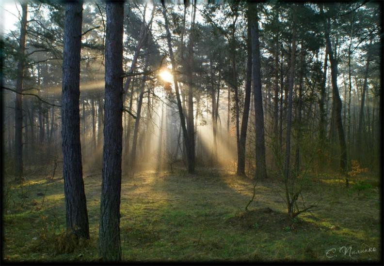 Баранівка з panoramio.com - Baranivka