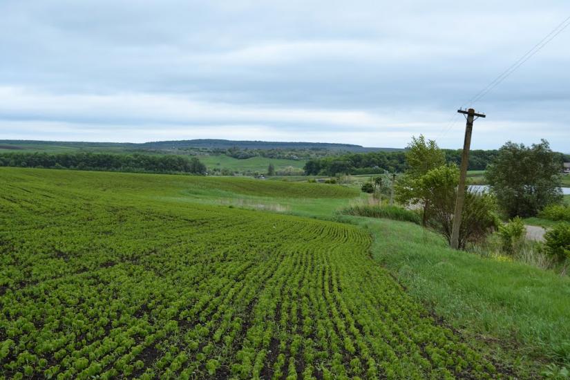 Подвір'ївка з panoramio.com - Подворьевка