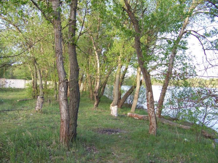 Самусіївка з panoramio.com - Самусіївка