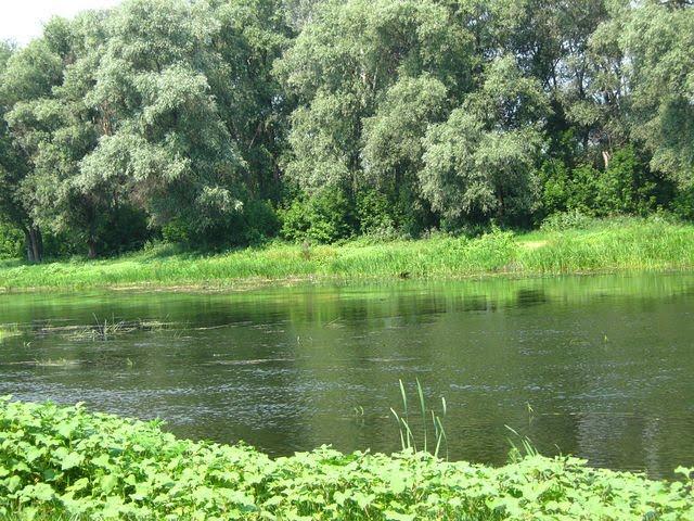 Райгородок з panoramio.com - Raygorodok