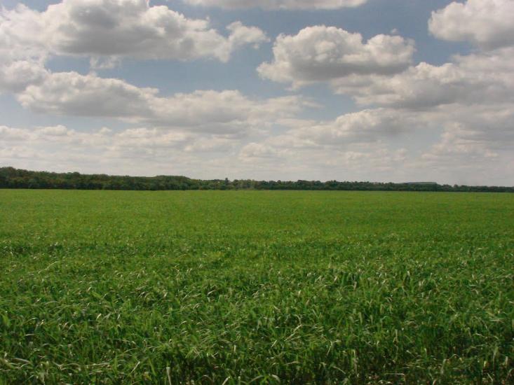 Новий Донбас з panoramio.com - Novyy Donbas