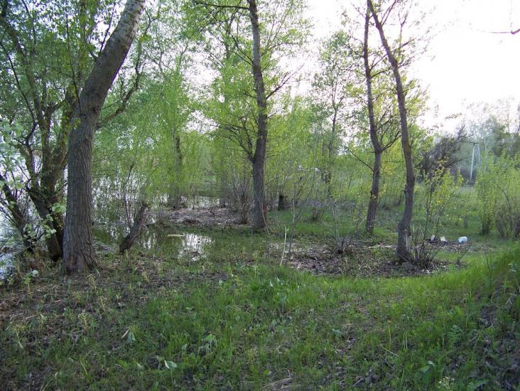Самусіївка з panoramio.com - Самусіївка