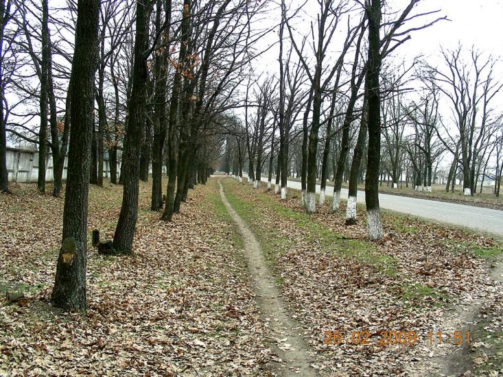 Комісарівка з panoramio.com - Комісарівка