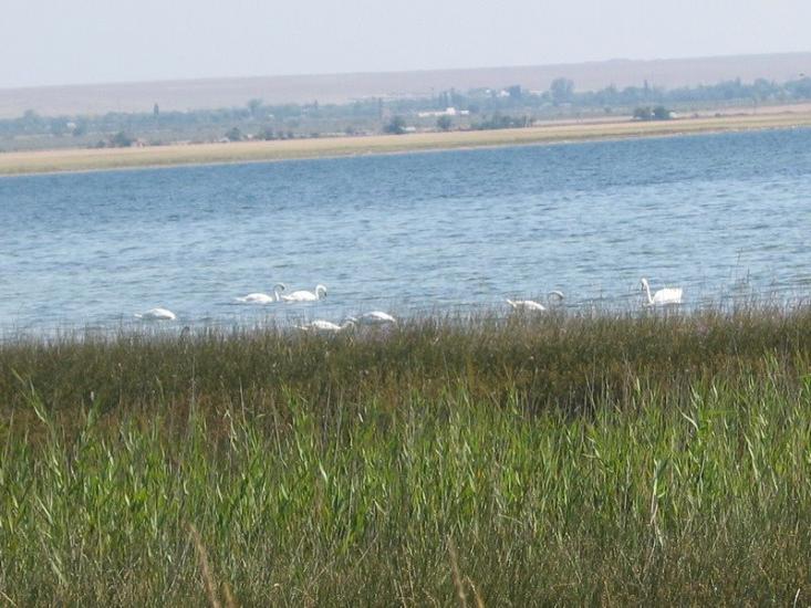 Озерівка з panoramio.com - Озеровка