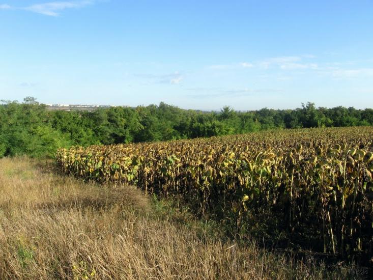 Біла Гора з panoramio.com - Белая Гора