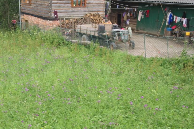 Кричка з panoramio.com - Кричка