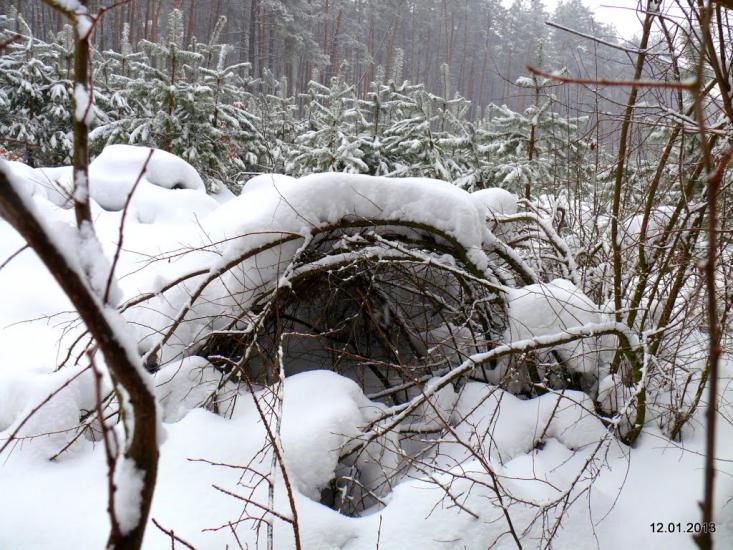 Забір'я з panoramio.com - Zabirya