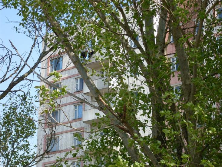 Саги з panoramio.com - Sagy